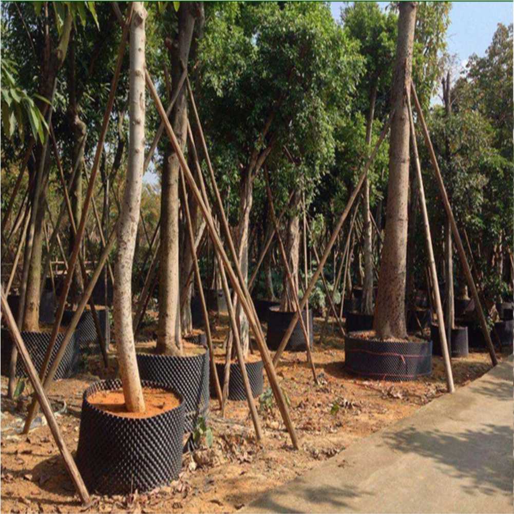 Grow Container Garden Tree Bon - Outdoor Furniture Set avaliação e preço